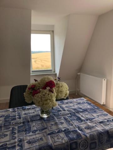 Die Graefin Auf Ruegen - Ferienappartements Parchtitz エクステリア 写真